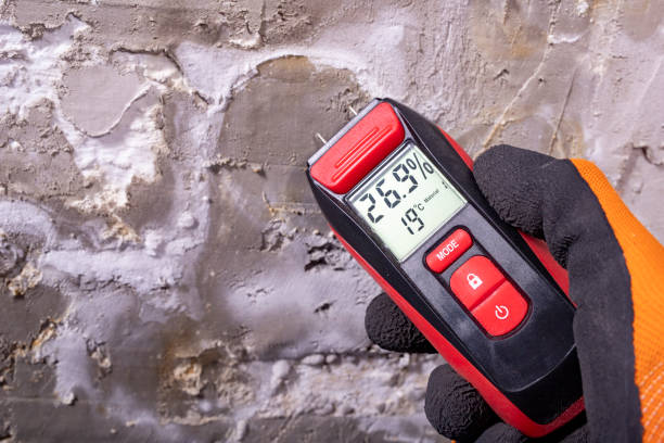 Ashland, VA Mold Removal Company